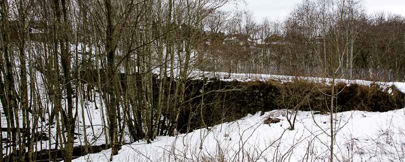Mel og gryn fra Elvegård