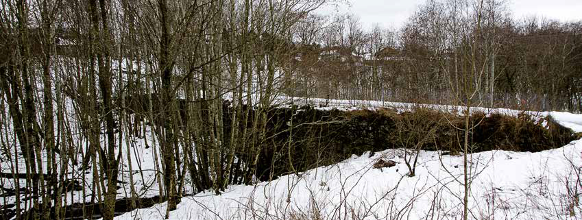 Mel og gryn fra Elvegård